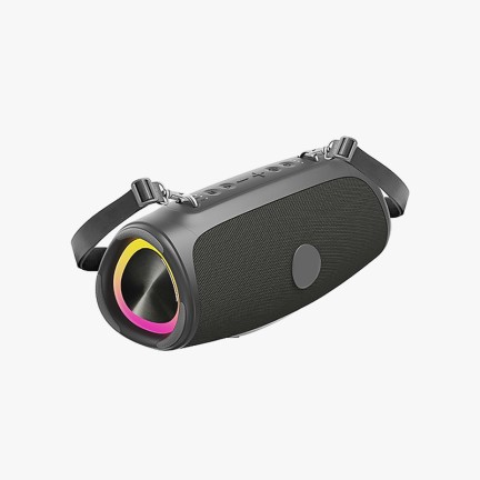 60W Waterproof Outdoor Party Speaker