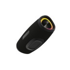 60W Waterproof Outdoor Party Speaker