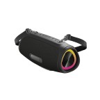 60W Waterproof Outdoor Party Speaker