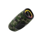 60w output strong bass outdoor speaker