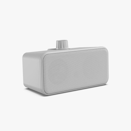 Stereo dual speaker outdoor speaker