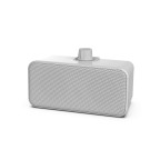 Stereo dual speaker outdoor speaker