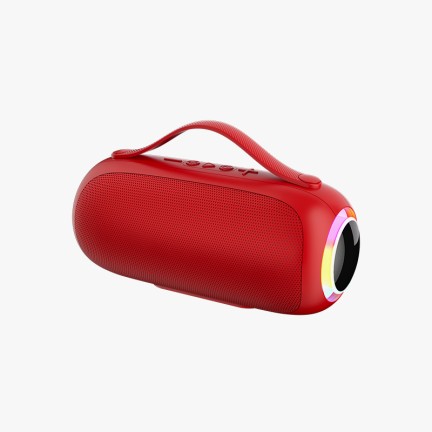 Portable outdoor speaker with powerful bass