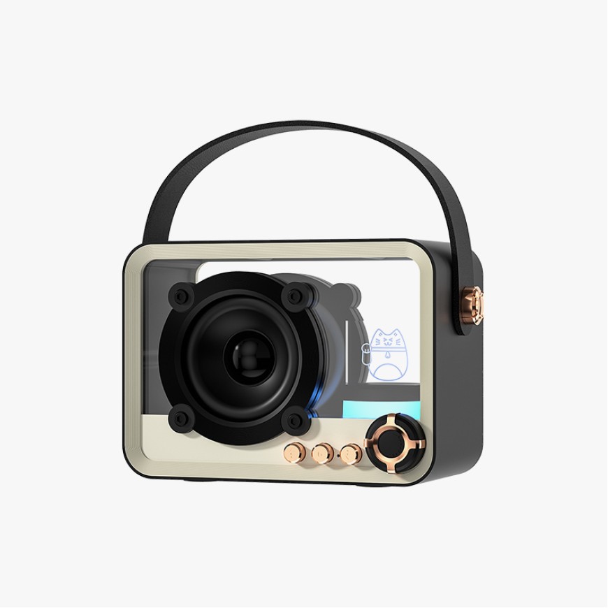 Professional double bass outdoor party speaker