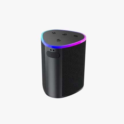 Outdoor Portable Wireless Bluetooth Subwoofer